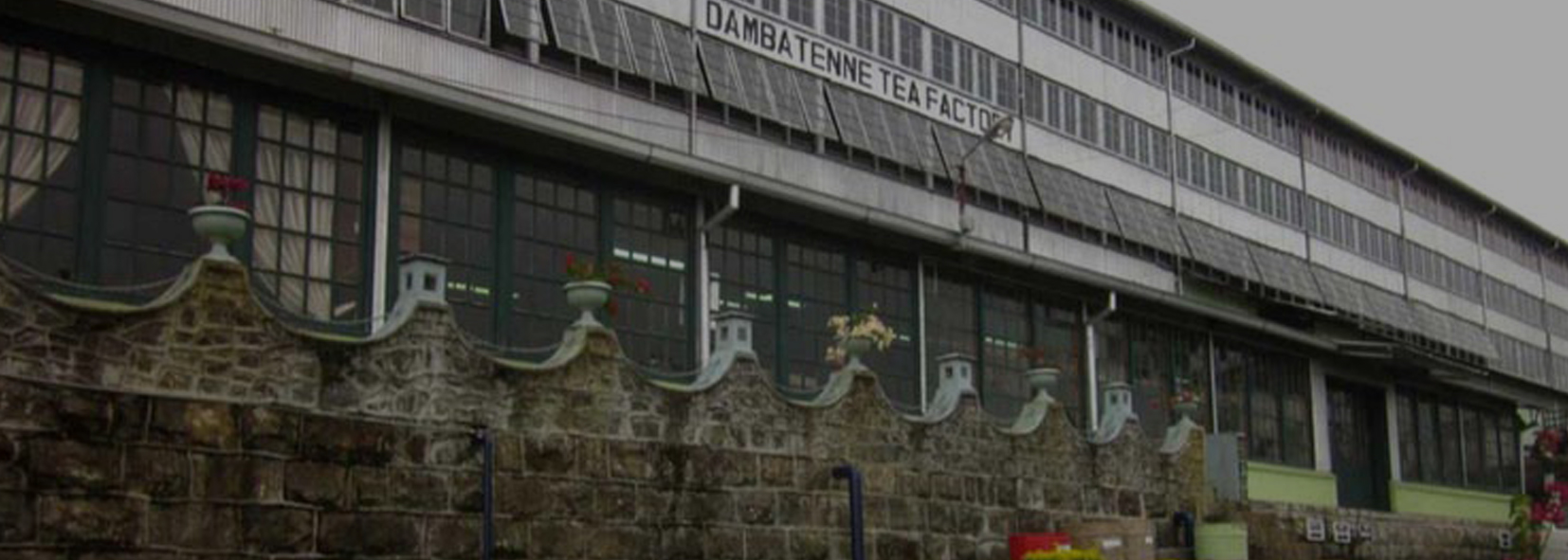 Dambatenne Tea Factory